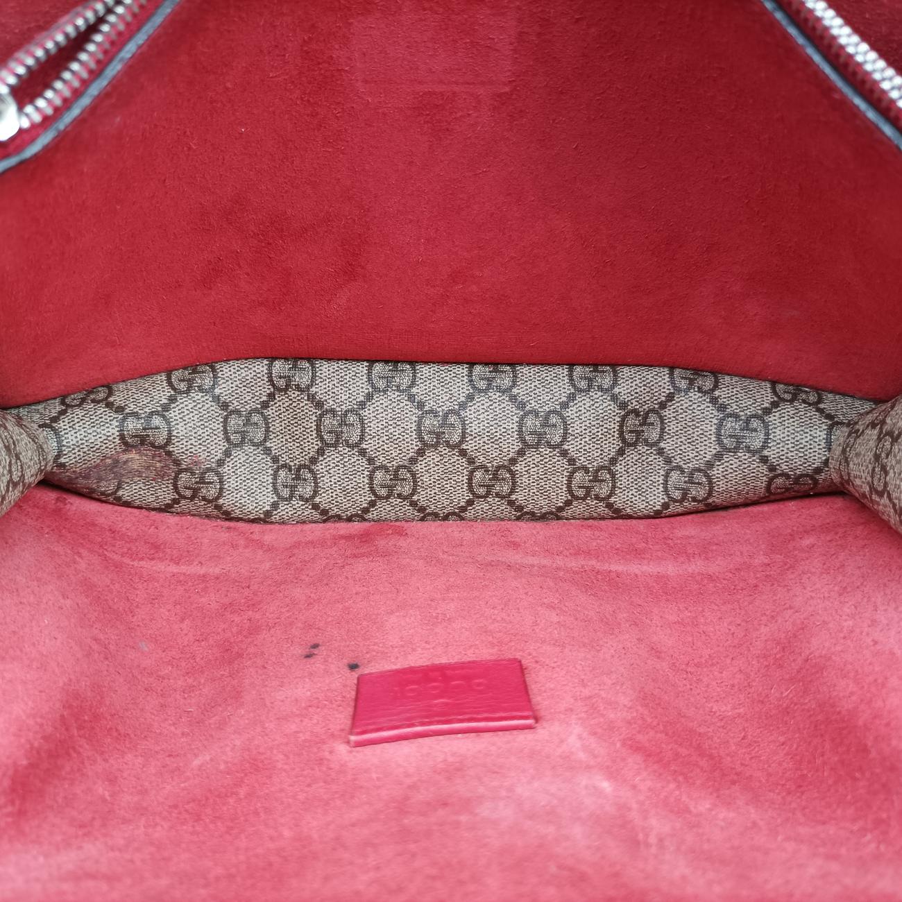 Pre-owned Gucci Dionysus Multicolour PVC coated canvas 400249 shoulderbag | stylenewstar