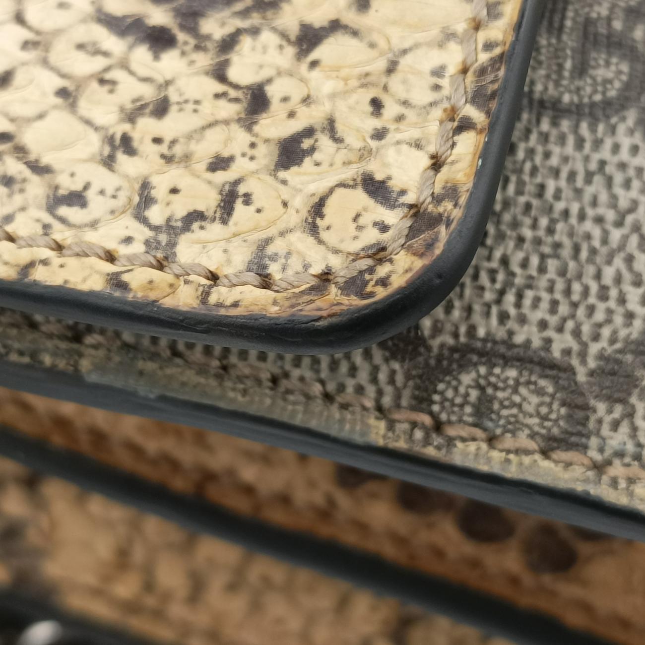 Pre-owned Gucci Dionysus Brown×Multicolor PVC coated canvas 400249 shoulderbag | stylenewstar