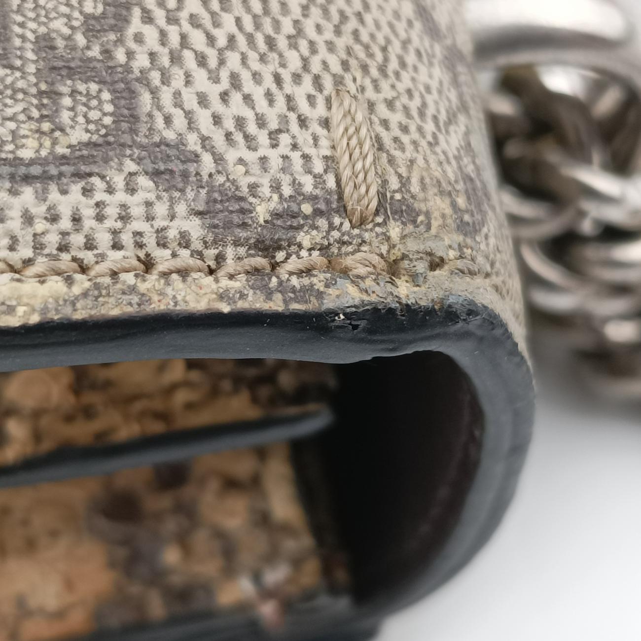 Pre-owned Gucci Dionysus Brown×Multicolor PVC coated canvas 400249 shoulderbag | stylenewstar