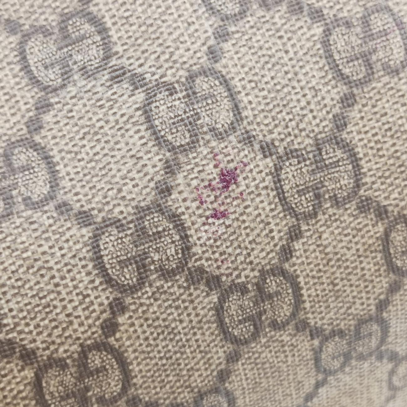 Pre-owned Gucci GG plus Spring Joy GG Supreme beige×silver PVC coated canvas 193603 handbag | stylenewstar