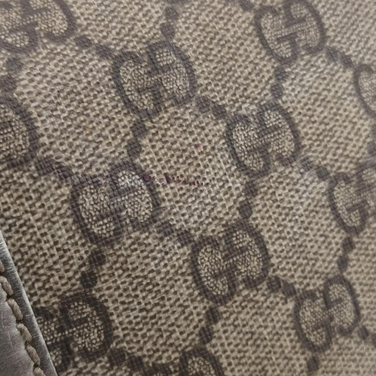 Pre-owned Gucci GG plus Spring Joy GG Supreme beige×silver PVC coated canvas 193603 handbag | stylenewstar