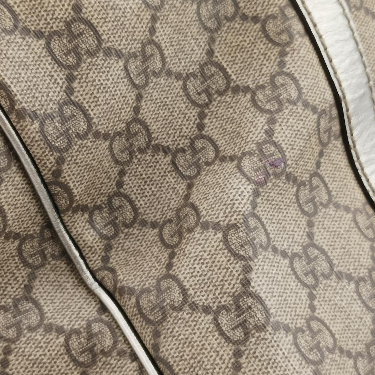 Pre-owned Gucci GG plus Spring Joy GG Supreme beige×silver PVC coated canvas 193603 handbag | stylenewstar