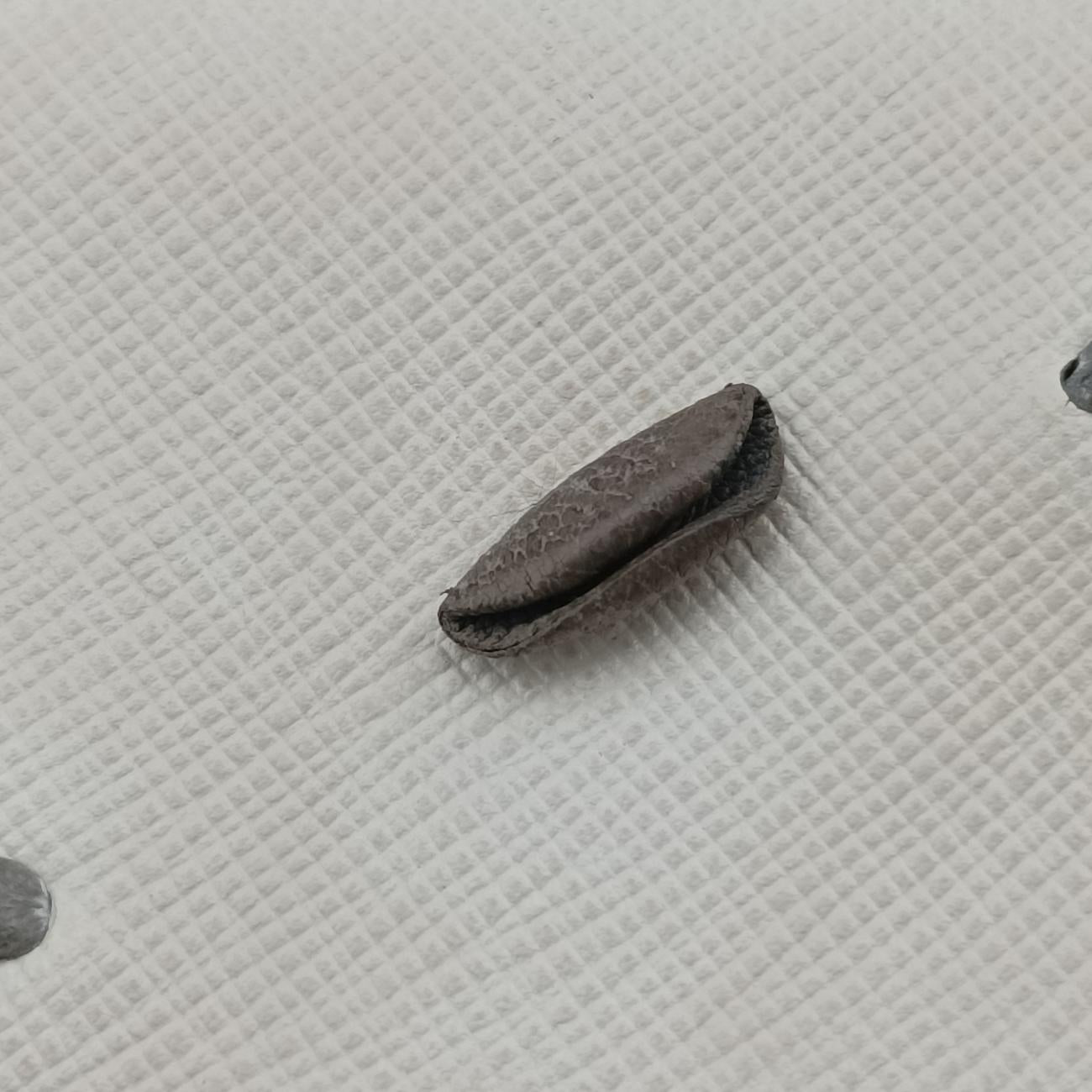 Secondhand Prada Embroidered Sound Black x White x Gray SAFFIANO Leather  shoulderbag | stylenewstar