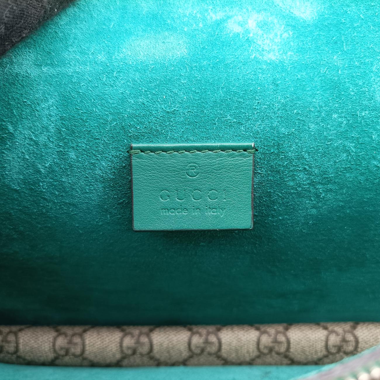 Pre-owned Gucci Dionysus beige×green×Multicolour PVC coated canvas 400249 shoulderbag | stylenewstar