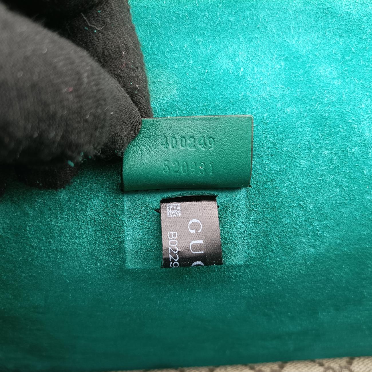 Pre-owned Gucci Dionysus beige×green×Multicolour PVC coated canvas 400249 shoulderbag | stylenewstar