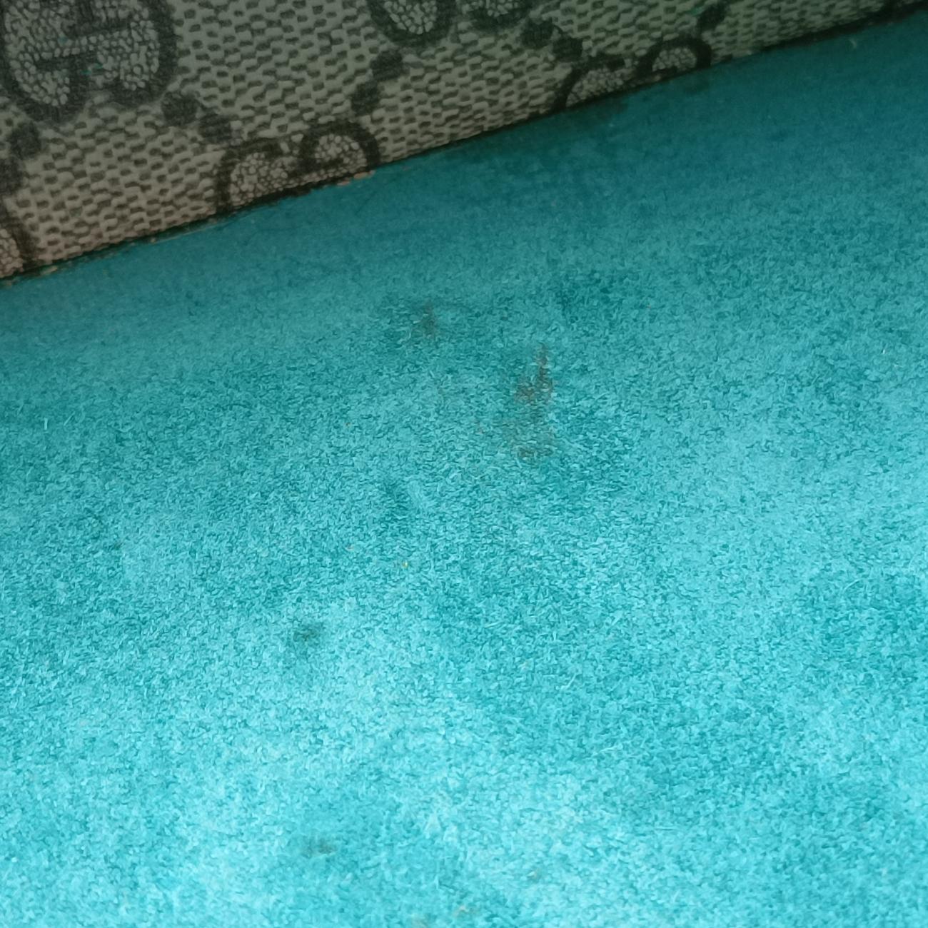 Pre-owned Gucci Dionysus beige×green×Multicolour PVC coated canvas 400249 shoulderbag | stylenewstar