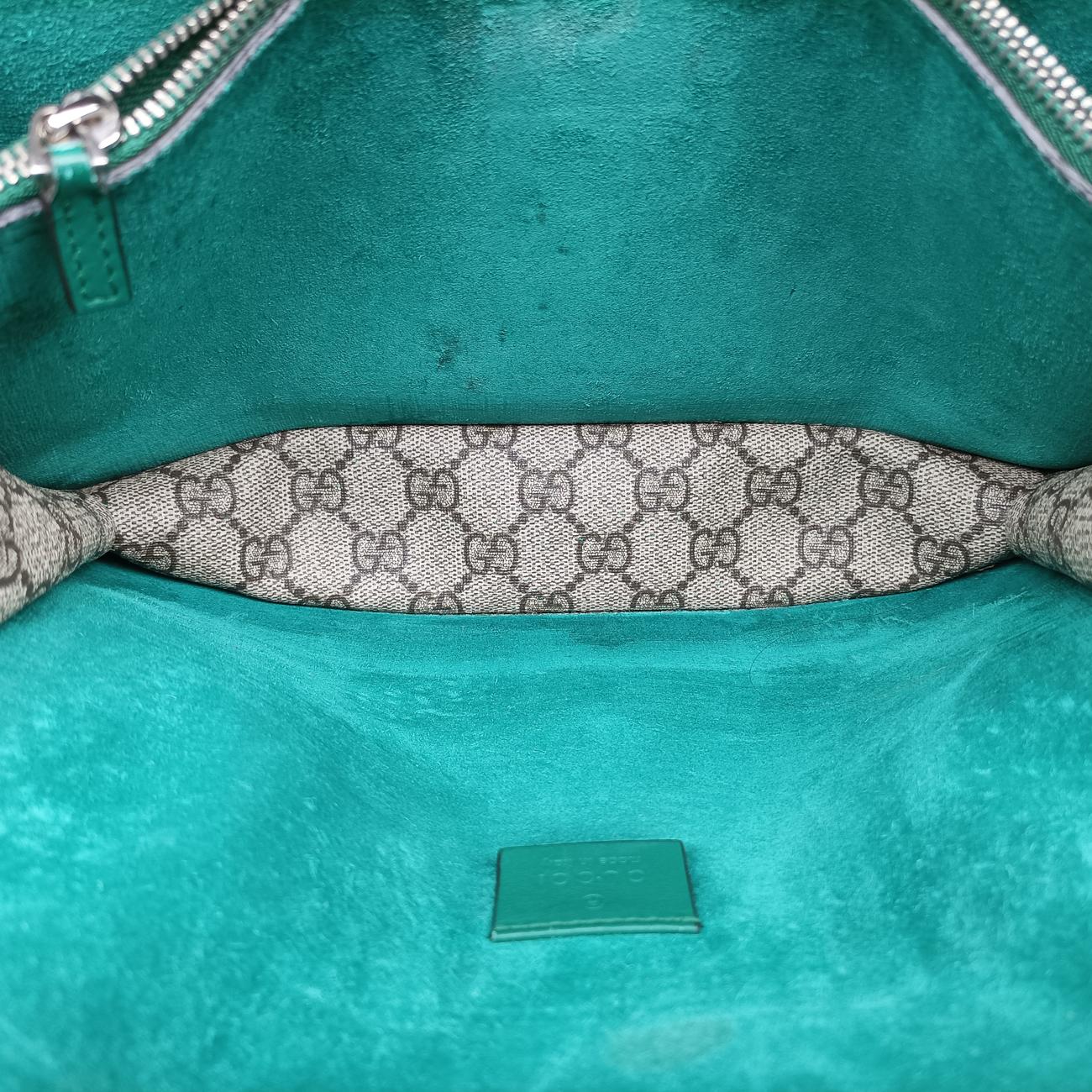 Pre-owned Gucci Dionysus beige×green×Multicolour PVC coated canvas 400249 shoulderbag | stylenewstar