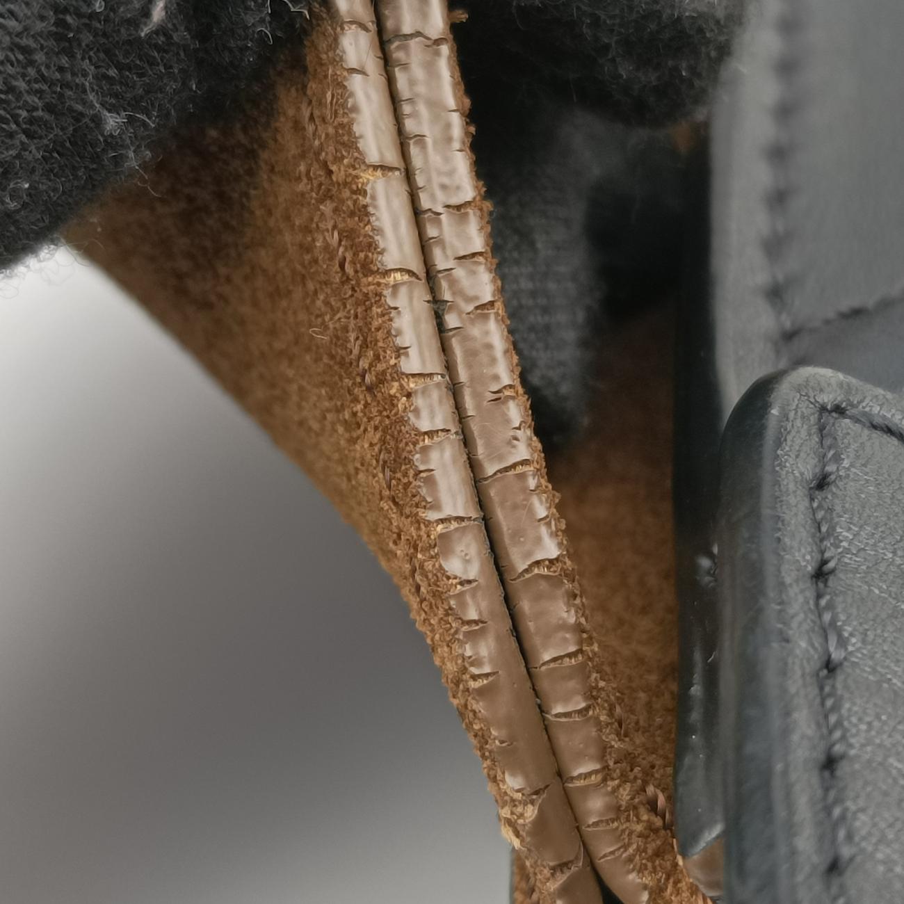 Pre-owned Celine luggage nano shopper Brown x white x black Leather  shoulderbag | stylenewstar