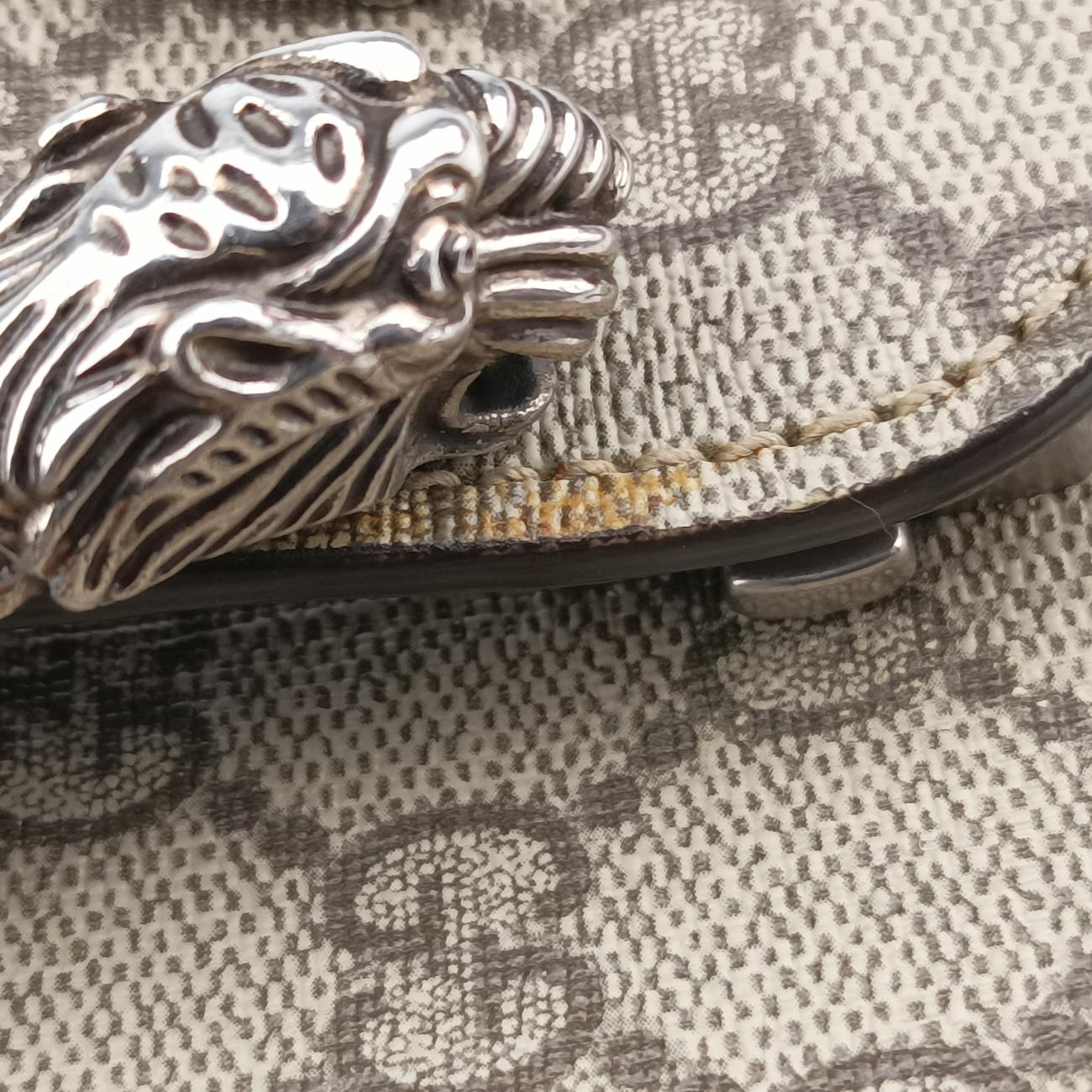 Pre-owned Gucci Dionysus beige×Multicolour PVC coated canvas 400235 shoulderbag | stylenewstar