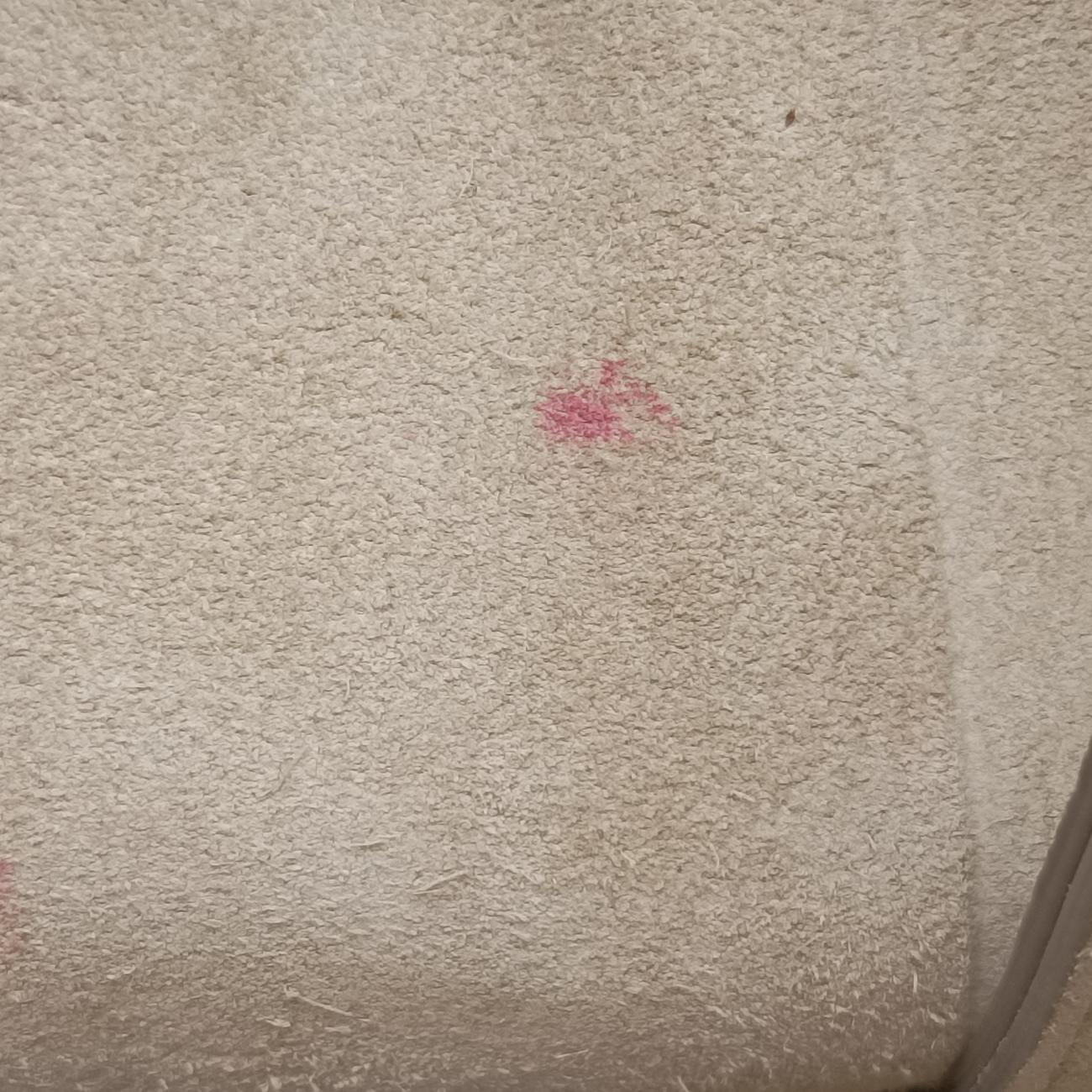 Pre-owned Chloe FAYE Pink×Beige Leather × suede  shoulderbag | stylenewstar