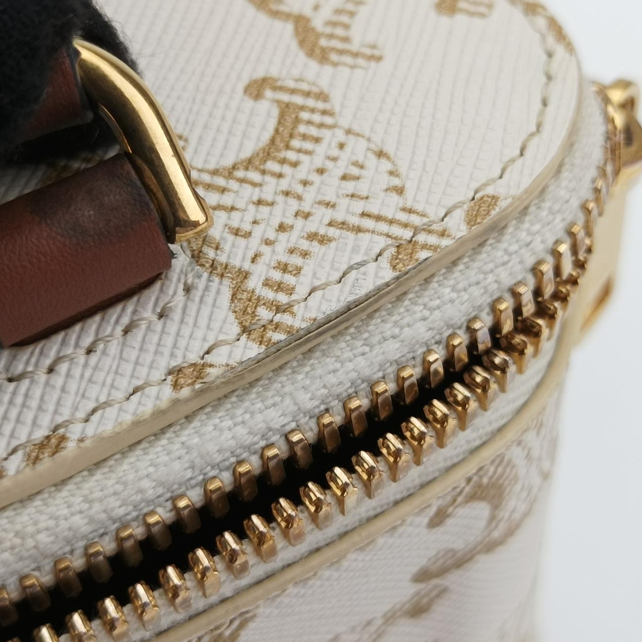 Pre-owned Celine TRIOMPHE mini vanity case White PVC coated canvas  U-DS-0243 White PVC coated canvas  shoulderbag | stylenewstar