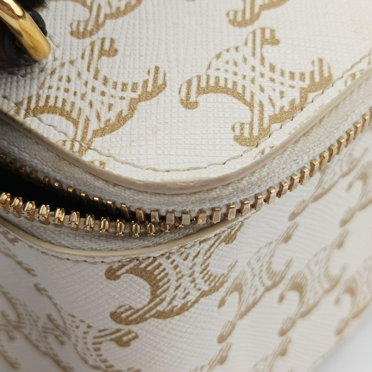 Pre-owned Celine TRIOMPHE mini vanity case White PVC coated canvas  U-DS-0243 White PVC coated canvas  shoulderbag | stylenewstar