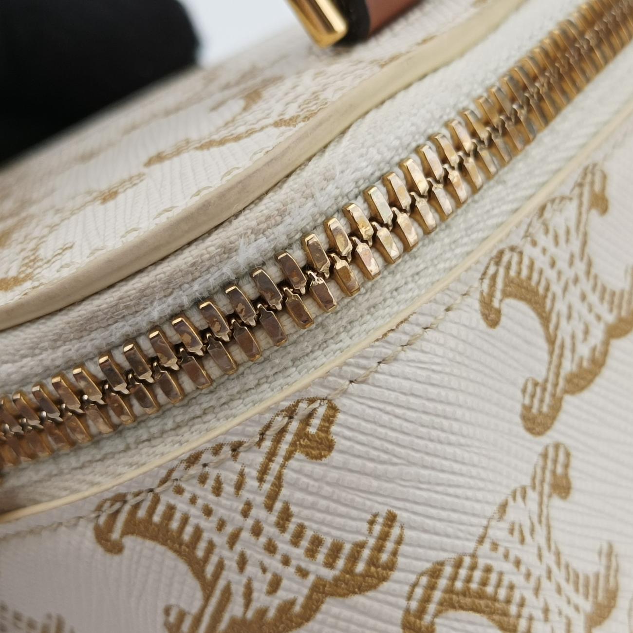 Pre-owned Celine TRIOMPHE mini vanity case White PVC coated canvas  U-DS-0243 White PVC coated canvas  shoulderbag | stylenewstar