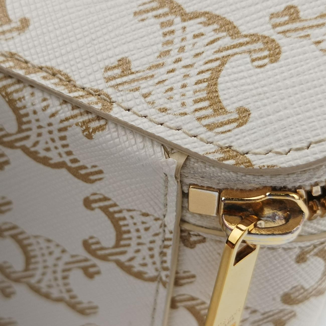 Pre-owned Celine TRIOMPHE mini vanity case White PVC coated canvas  U-DS-0243 White PVC coated canvas  shoulderbag | stylenewstar